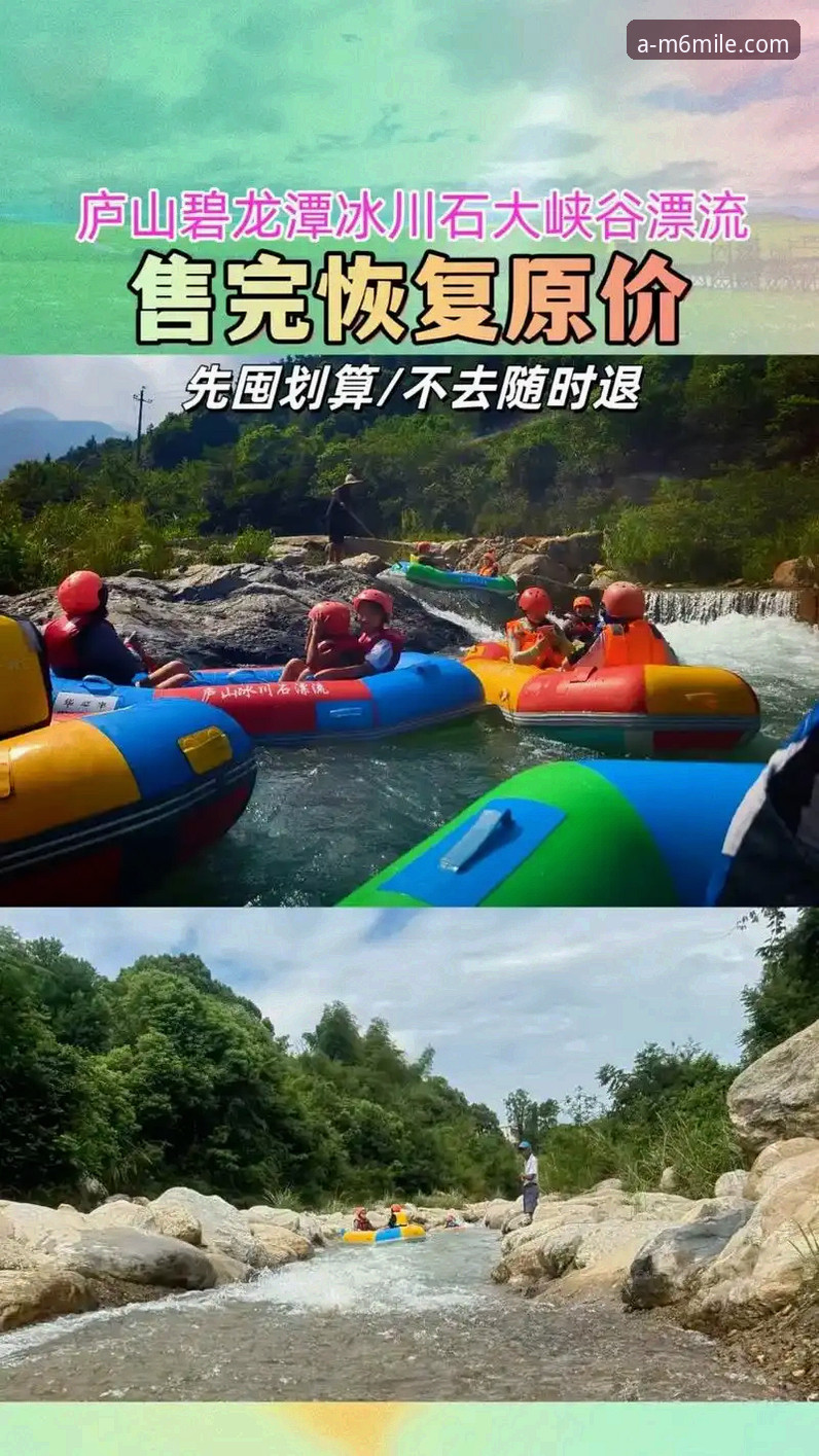 米乐体育平台使用与下载完整指南：从注册到畅玩的实用经验分享